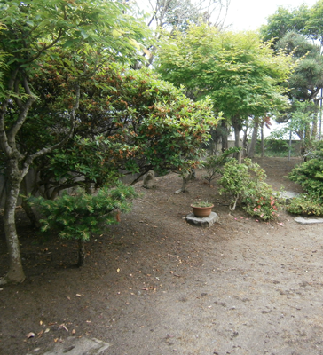 家の草むしり（作業後）