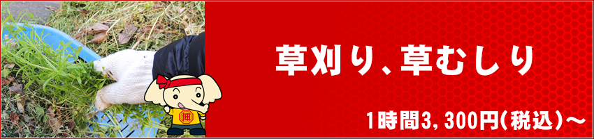 草刈り、草むしり　1時間3,300円（税込～）