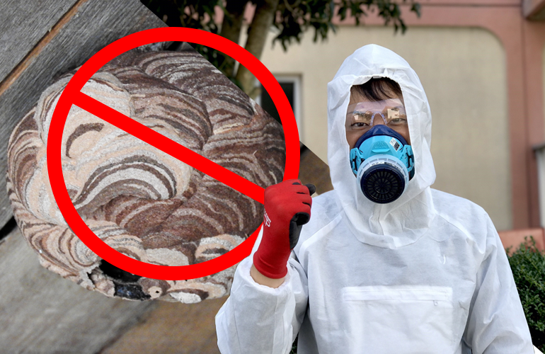 ハチの巣駆除・その他